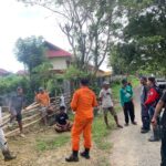 WhatsApp Image 2024-05-05 at 19.01.03