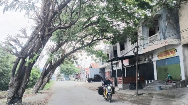 Pohon Miring di Jalan Tavanjuka Permai, Warga Palu Minta Tebang Saja