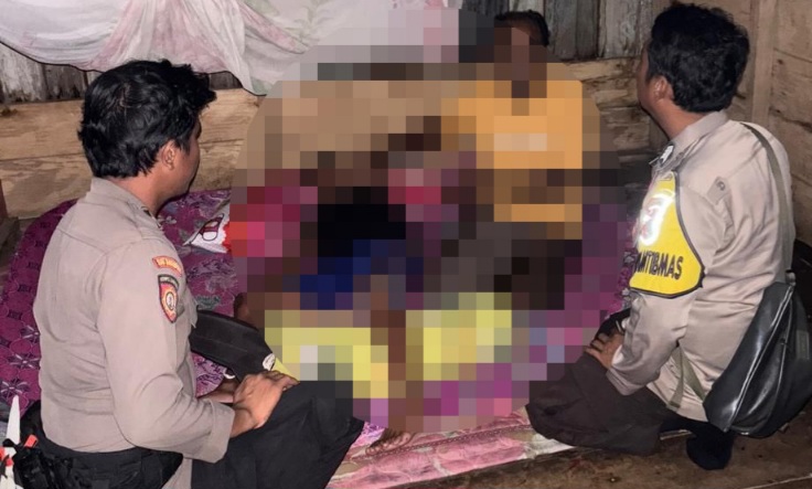 Saat Asyik Mandi di Laut, Seorang Pelajar di Una-Una Kepulauan Togean Digigit Buaya