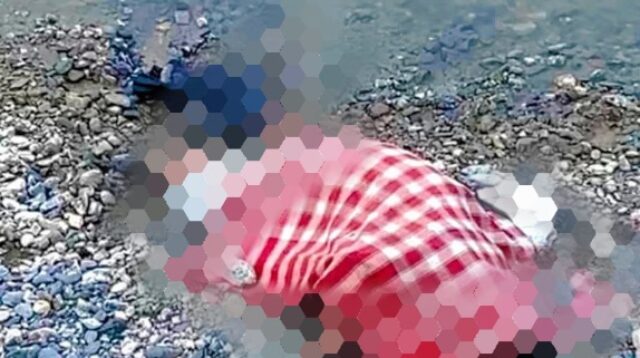 Polisi Masih Selidiki Penemuan Mayat Pria di Bantaran Sungai Palu