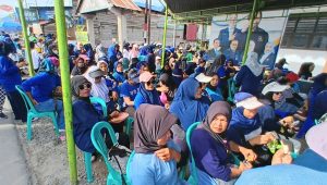 Meriah, Seribu 'Ras Terkuat di Muka Bumi' Ikut Jalan Santai Partai NasDem Sigi