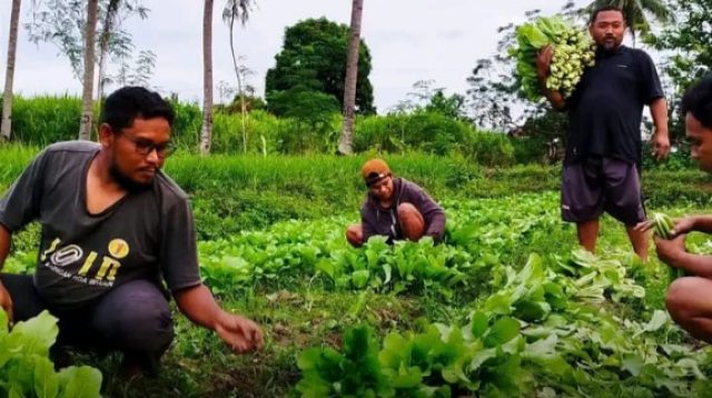 Hijau Adalah Masa Depan