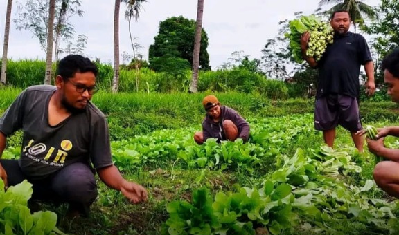 Hijau Adalah Masa Depan