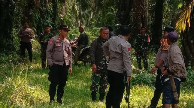 Komnas HAM Sulteng Kritik Kehadiran Aparat di Perkebunan Sawit PT KLS Taronggo