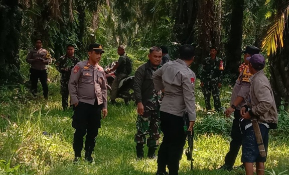 Komnas HAM Sulteng Kritik Kehadiran Aparat di Perkebunan Sawit PT KLS Taronggo