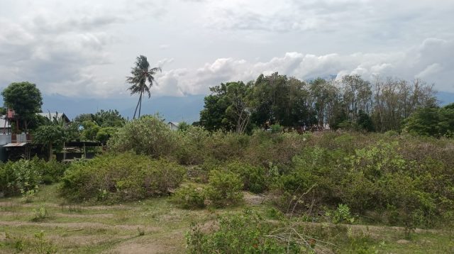 PPMMU Desak Pemda Morut Beri Kejelasan Pembangunan Asrama Mahasiswa di Palu