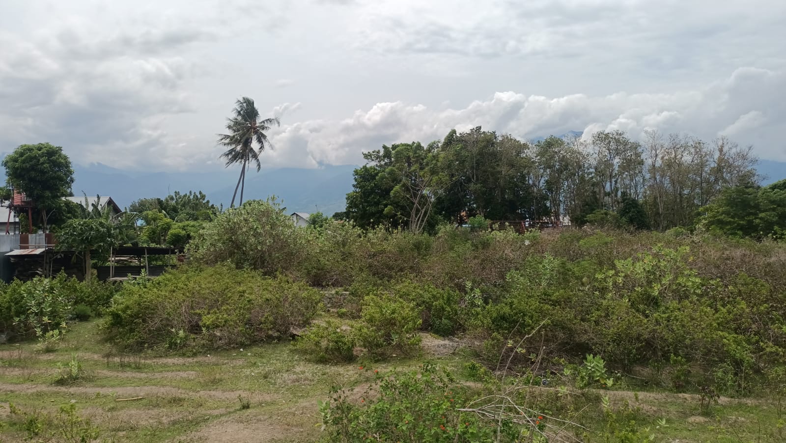 PPMMU Desak Pemda Morut Beri Kejelasan Pembangunan Asrama Mahasiswa di Palu