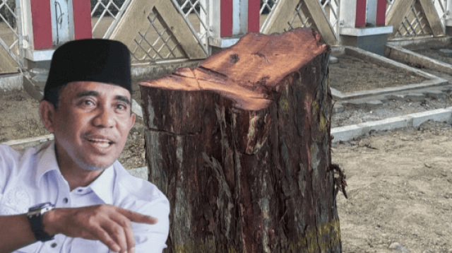 Gubernur Sulteng Murka soal Penebangan Pohon Depan Rujab Siranindi