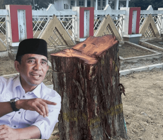 Gubernur Sulteng Murka soal Penebangan Pohon Depan Rujab Siranindi