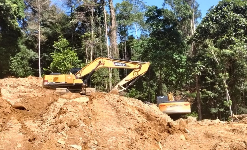 PETI Taopa Seperti Beranak Pinang, Siapa yang Backing?