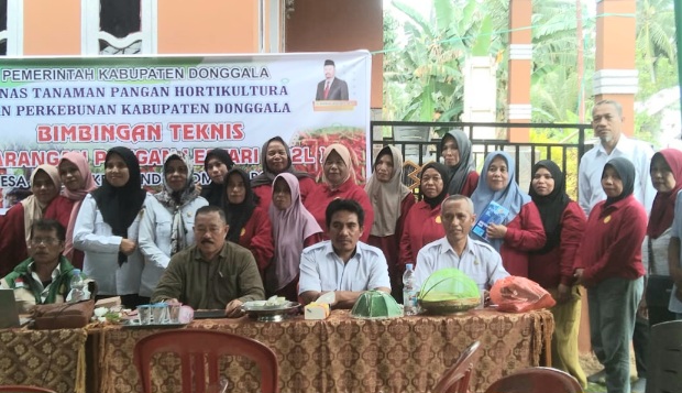 Pekarangan Rumah Jadi Sumber Uang dan Pangan, Pemdes Saloya Berdayakan KWT