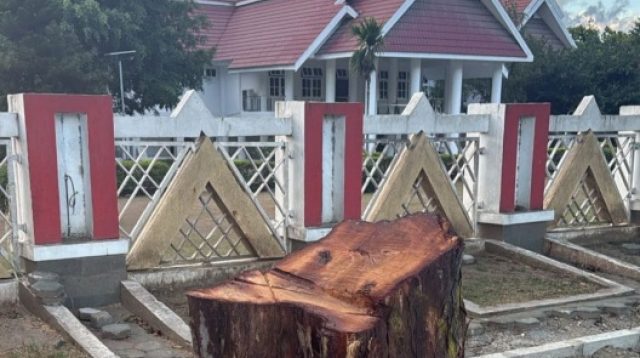 Gubernur Anwar Hafid Marah Pohon Rujab Ditebang karena Hargai Warisan Pendahulu