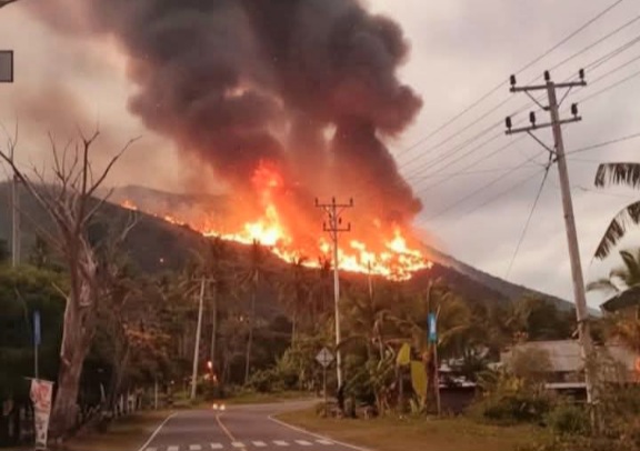 Parigi Moutong Status Siaga Karhutla, 20 Ha Lahan di Avolua Terbakar