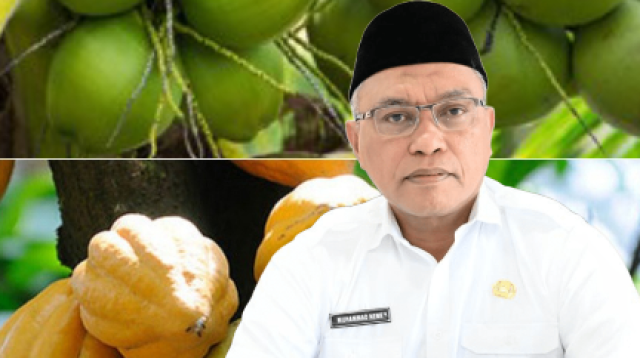 Sulteng Tancap Gas Percepat Hilirisasi Kelapa dan Kakao, Neng: Petani Kita Siap -siap Naik Kelas