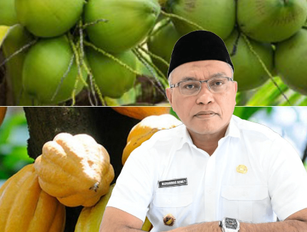 Sulteng Tancap Gas Percepat Hilirisasi Kelapa dan Kakao, Neng: Petani Kita Siap -siap Naik Kelas