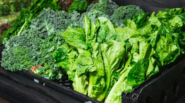 5 Makanan Terbaik untuk Menjaga Daya Ingat dan Kesehatan Otak Menurut Penelitian