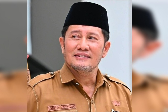 Ucapannya Merendahkan Profesi Jurnalis, drg Herry Mulyadi Tulis Permintaan Maaf Terbuka