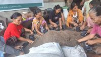 Perempuan Rio Mukti Belajar Budidaya Pekarangan untuk Ketahanan Pangan Keluarga