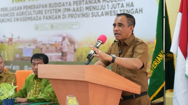 Anwar Hafid Targetkan Produktivitas Padi Sulteng Tembus 6 Ton per Hektare