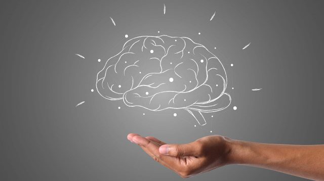 7 Kebiasaan Harian yang Bisa Membantu Menjaga Otak Tetap Muda