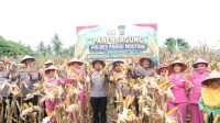 Kapolres Parigi Moutong Panen Jagung Bersama Petani, Serahkan Bantuan Alsintan